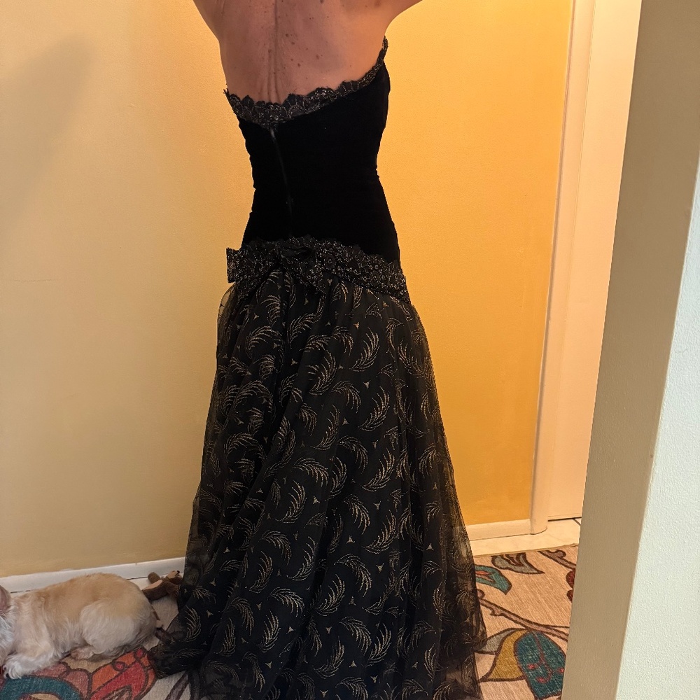 VICTOR COSTA EVENING GOWN SMALL - Picture 2 of 10